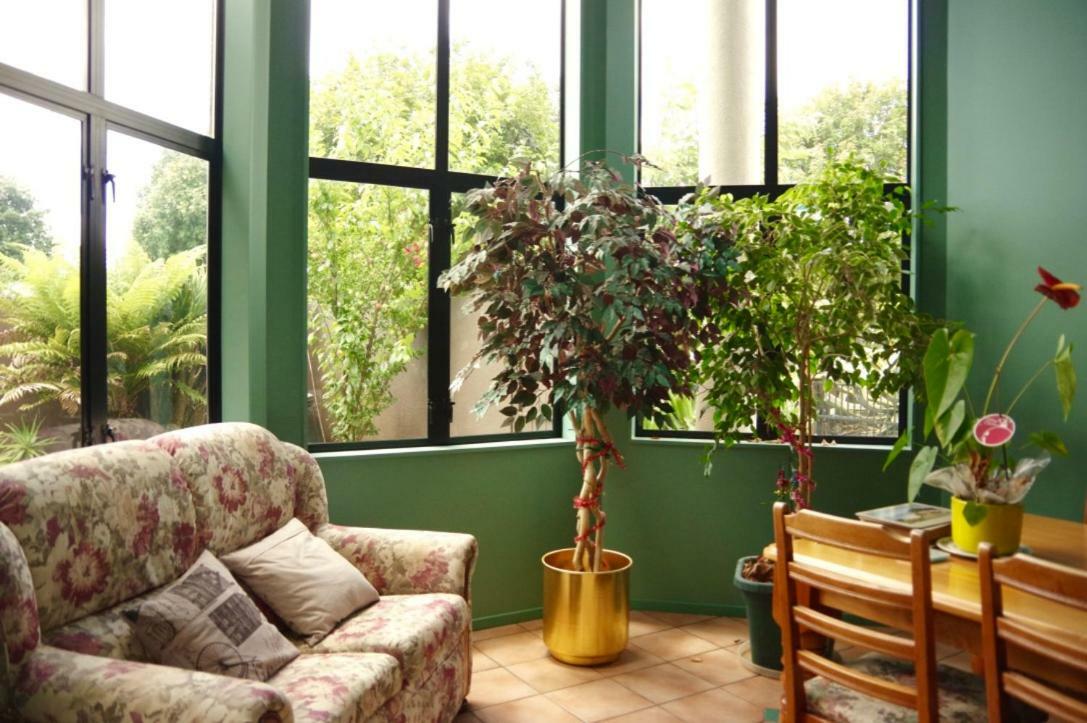 Hamilton East Homestay Ngoại thất bức ảnh